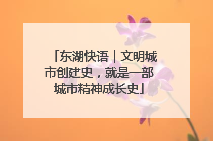 东湖快语｜文明城市创建史，就是一部城市精神成长史
