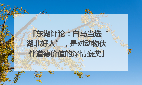 东湖评论：白马当选“湖北好人”，是对动物伙伴道德价值的深情褒奖