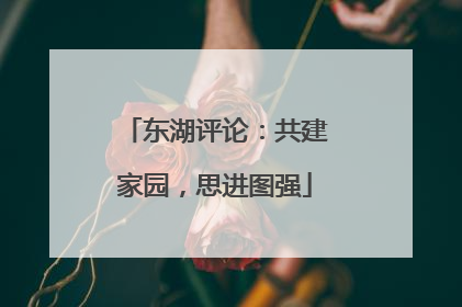 东湖评论：共建家园，思进图强