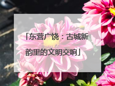 东营广饶：古城新韵里的文明交响
