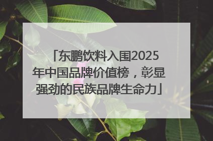 东鹏饮料入围2025年中国品牌价值榜，彰显强劲的民族品牌生命力