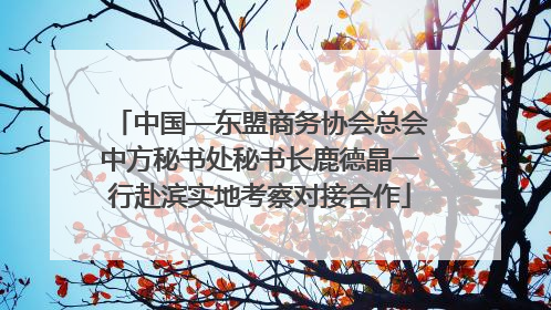 中国—东盟商务协会总会中方秘书处秘书长鹿德晶一行赴滨实地考察对接合作