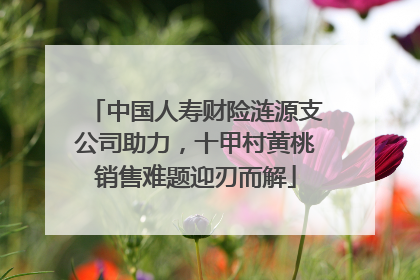 中国人寿财险涟源支公司助力，十甲村黄桃销售难题迎刃而解