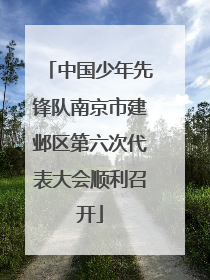 中国少年先锋队南京市建邺区第六次代表大会顺利召开
