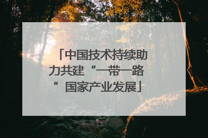 中国技术持续助力共建“一带一路”国家产业发展