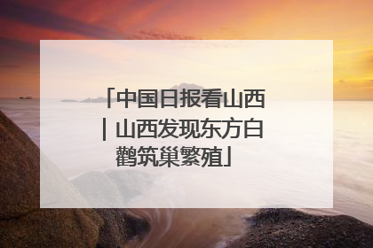 中国日报看山西｜山西发现东方白鹳筑巢繁殖