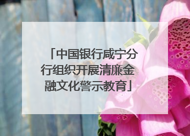 中国银行咸宁分行组织开展清廉金融文化警示教育