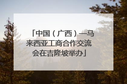 中国（广西）—马来西亚工商合作交流会在吉隆坡举办