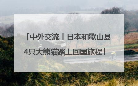 中外交流丨日本和歌山县4只大熊猫踏上回国旅程