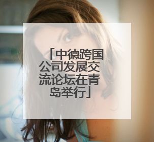 中德跨国公司发展交流论坛在青岛举行