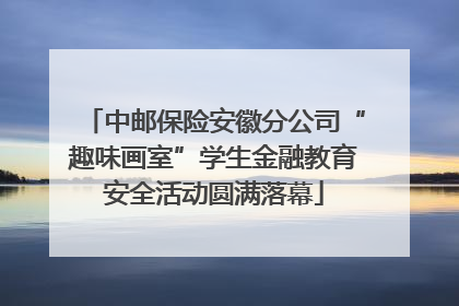 中邮保险安徽分公司“趣味画室”学生金融教育安全活动圆满落幕