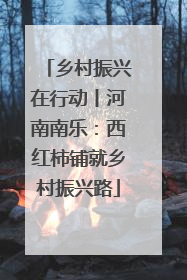 乡村振兴在行动丨河南南乐：西红柿铺就乡村振兴路