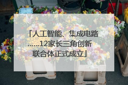 人工智能、集成电路……12家长三角创新联合体正式成立
