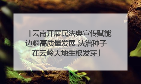 云南开展民法典宣传赋能边疆高质量发展 法治种子在云岭大地生根发芽