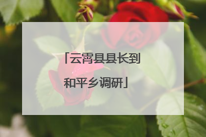 云霄县县长到和平乡调研