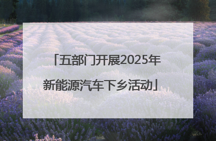 五部门开展2025年新能源汽车下乡活动