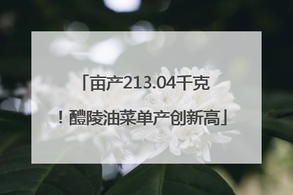 亩产213.04千克！醴陵油菜单产创新高