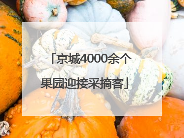 京城4000余个果园迎接采摘客