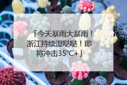 今天暴雨大暴雨！浙江持续湿哒哒！即将冲击35℃+