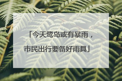 今天鹭岛或有暴雨，市民出行要备好雨具