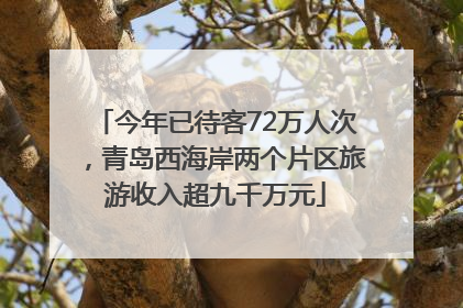 今年已待客72万人次，青岛西海岸两个片区旅游收入超九千万元