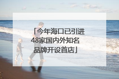 今年海口已引进48家国内外知名品牌开设首店