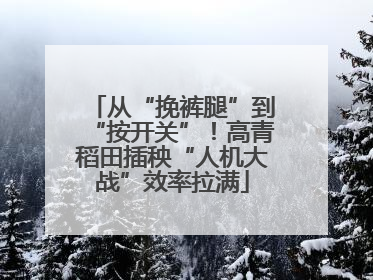 从“挽裤腿”到“按开关”！高青稻田插秧“人机大战”效率拉满