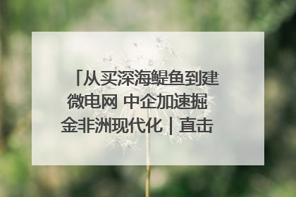 从买深海鳀鱼到建微电网 中企加速掘金非洲现代化｜直击中非经贸博览会