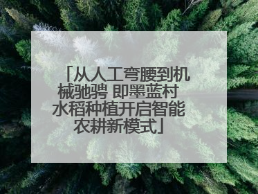 从人工弯腰到机械驰骋 即墨蓝村水稻种植开启智能农耕新模式
