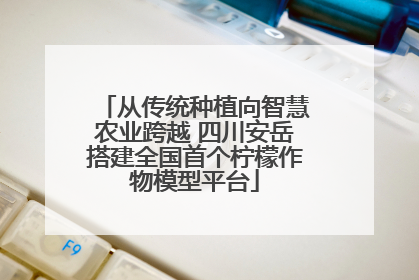 从传统种植向智慧农业跨越 四川安岳搭建全国首个柠檬作物模型平台