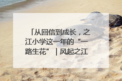 从回信到成长，之江小学这一年的“一路生花”｜风起之江 扶摇直上