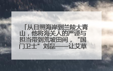 从日照海岸到兰陵大青山，他将海关人的严谨与担当带到荒坡田间，“国门卫士”刘磊——让艾草长成“生钱草”