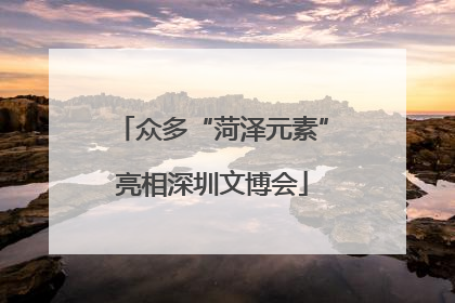众多“菏泽元素”亮相深圳文博会