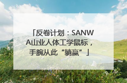 反卷计划：SANWA山业人体工学鼠标，手腕从此“躺赢”