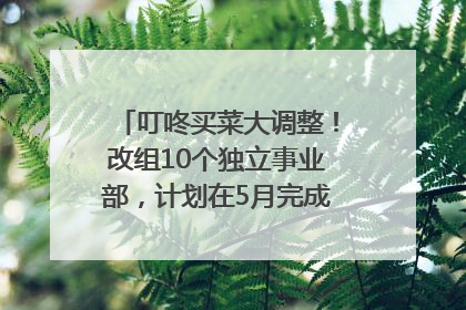 叮咚买菜大调整！改组10个独立事业部，计划在5月完成App端全面改版