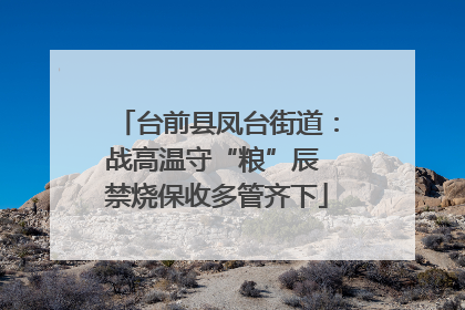 台前县凤台街道：战高温守“粮”辰 禁烧保收多管齐下