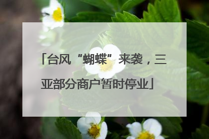 台风“蝴蝶”来袭，三亚部分商户暂时停业