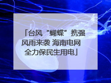 台风“蝴蝶”携强风雨来袭 海南电网全力保民生用电