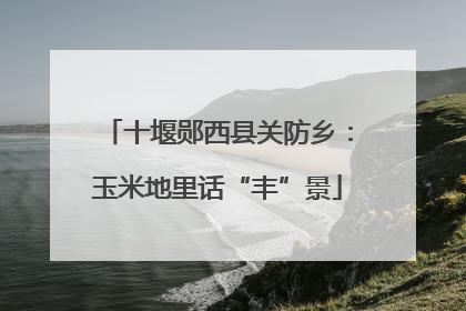 十堰郧西县关防乡：玉米地里话“丰”景