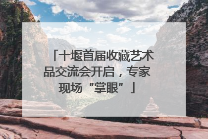 十堰首届收藏艺术品交流会开启，专家现场“掌眼”