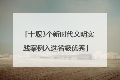 十堰3个新时代文明实践案例入选省级优秀