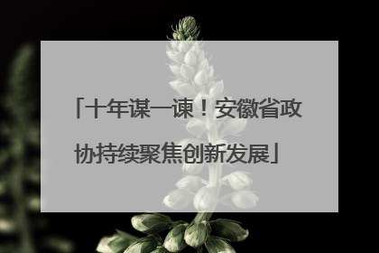 十年谋一谏！安徽省政协持续聚焦创新发展