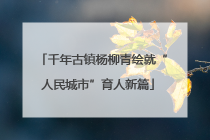 千年古镇杨柳青绘就“人民城市”育人新篇
