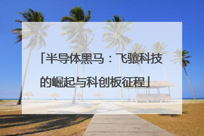 半导体黑马：飞骧科技的崛起与科创板征程