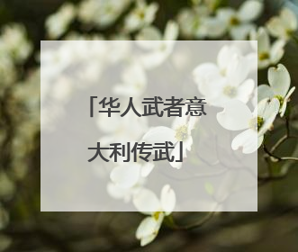 华人武者意大利传武