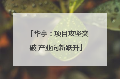 华亭：项目攻坚突破 产业向新跃升