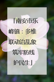 南安市乐峰镇：多维联动治乱象 筑牢防线护民生