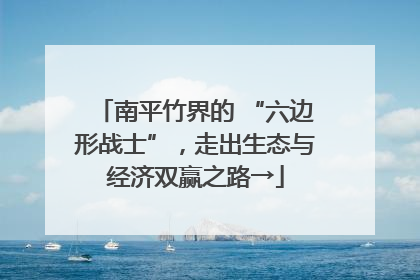 南平竹界的 “六边形战士”，走出生态与经济双赢之路→