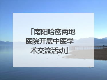 南阳哈密两地医院开展中医学术交流活动
