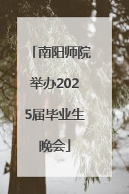 南阳师院举办2025届毕业生晚会